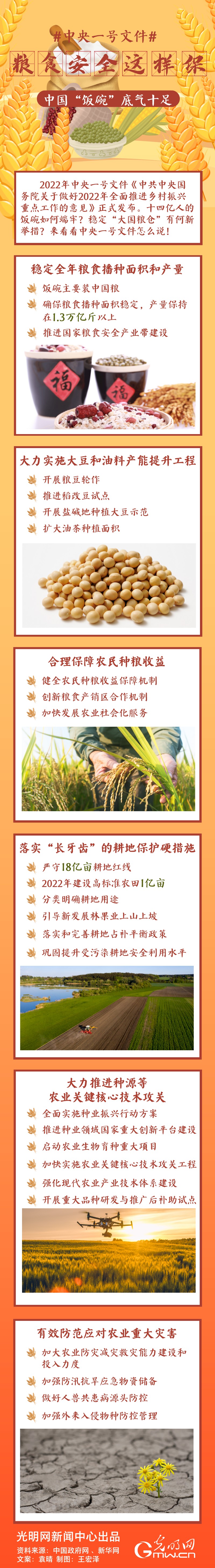 中央一號文件｜糧食安全這樣保，中國“飯碗”底氣十足