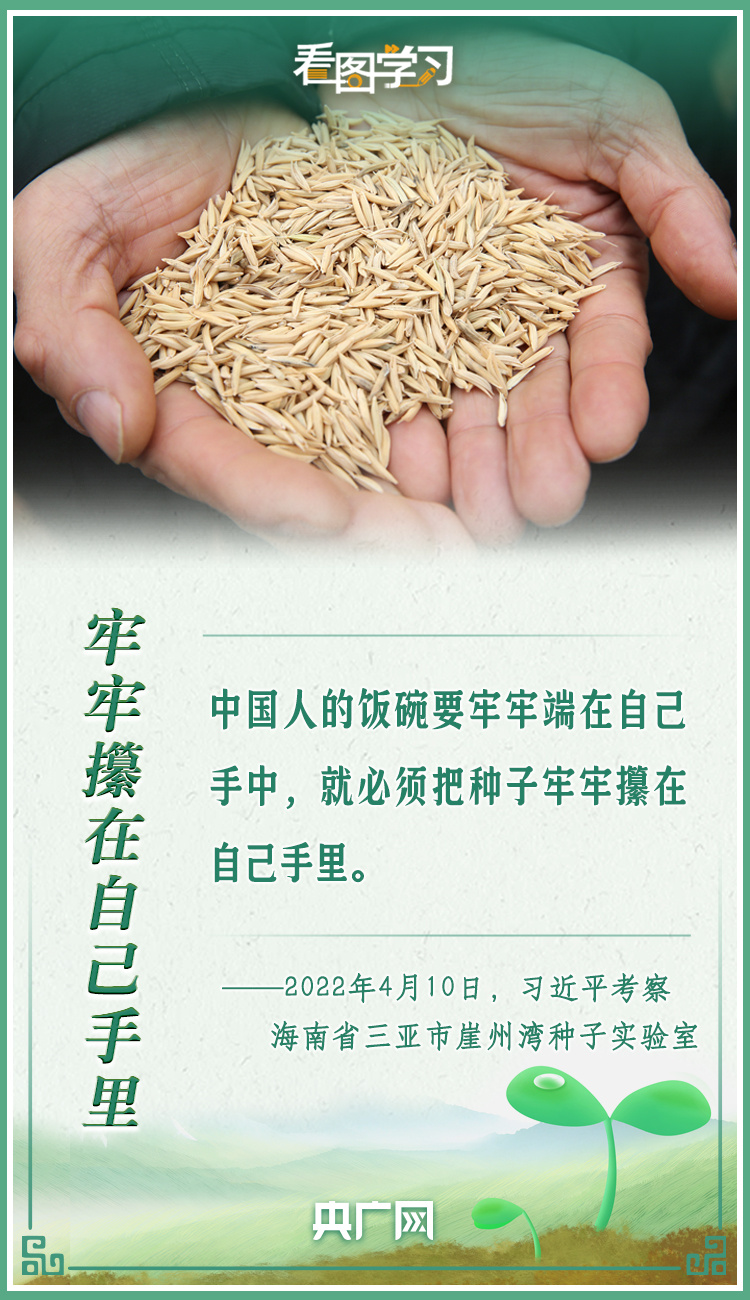 看圖學習|牢記總書記叮囑 攥緊種子端牢飯碗