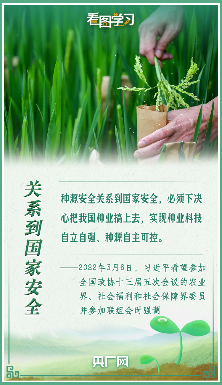 看圖學習|牢記總書記叮囑 攥緊種子端牢飯碗
