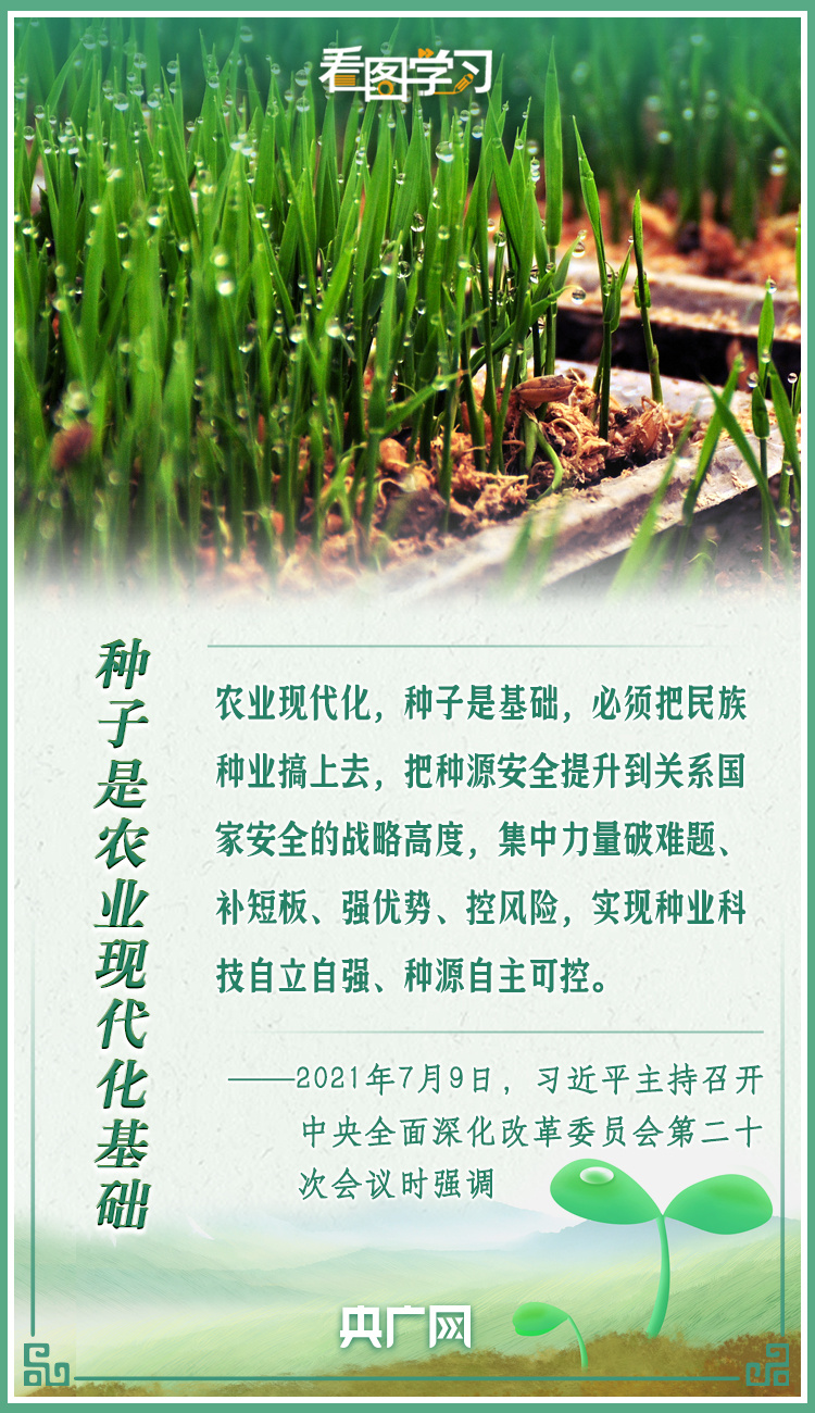 看圖學習|牢記總書記叮囑 攥緊種子端牢飯碗