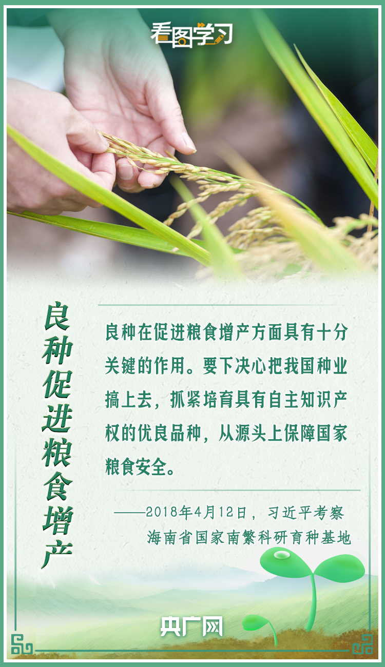 看圖學習|牢記總書記叮囑 攥緊種子端牢飯碗