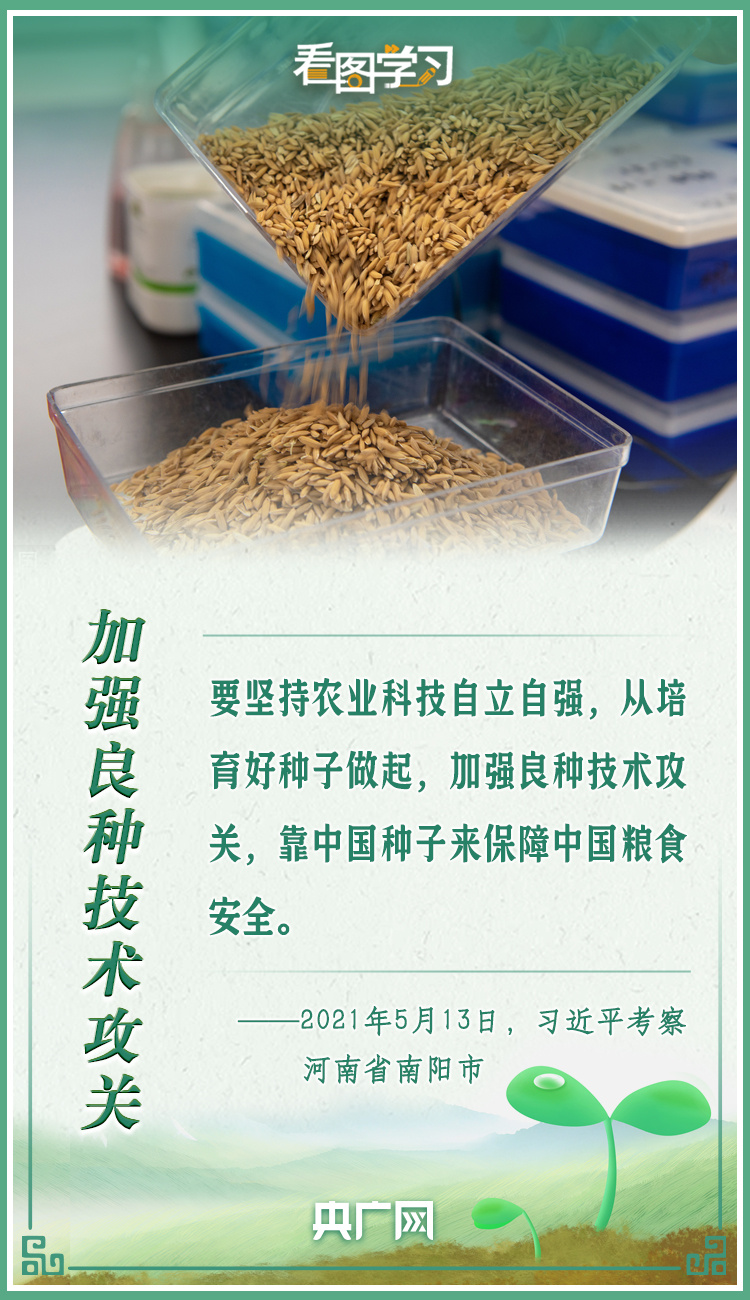 看圖學習|牢記總書記叮囑 攥緊種子端牢飯碗