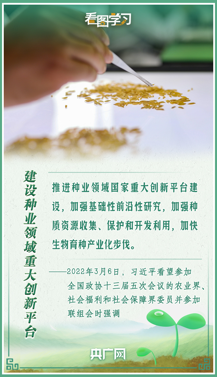 看圖學習|牢記總書記叮囑 攥緊種子端牢飯碗