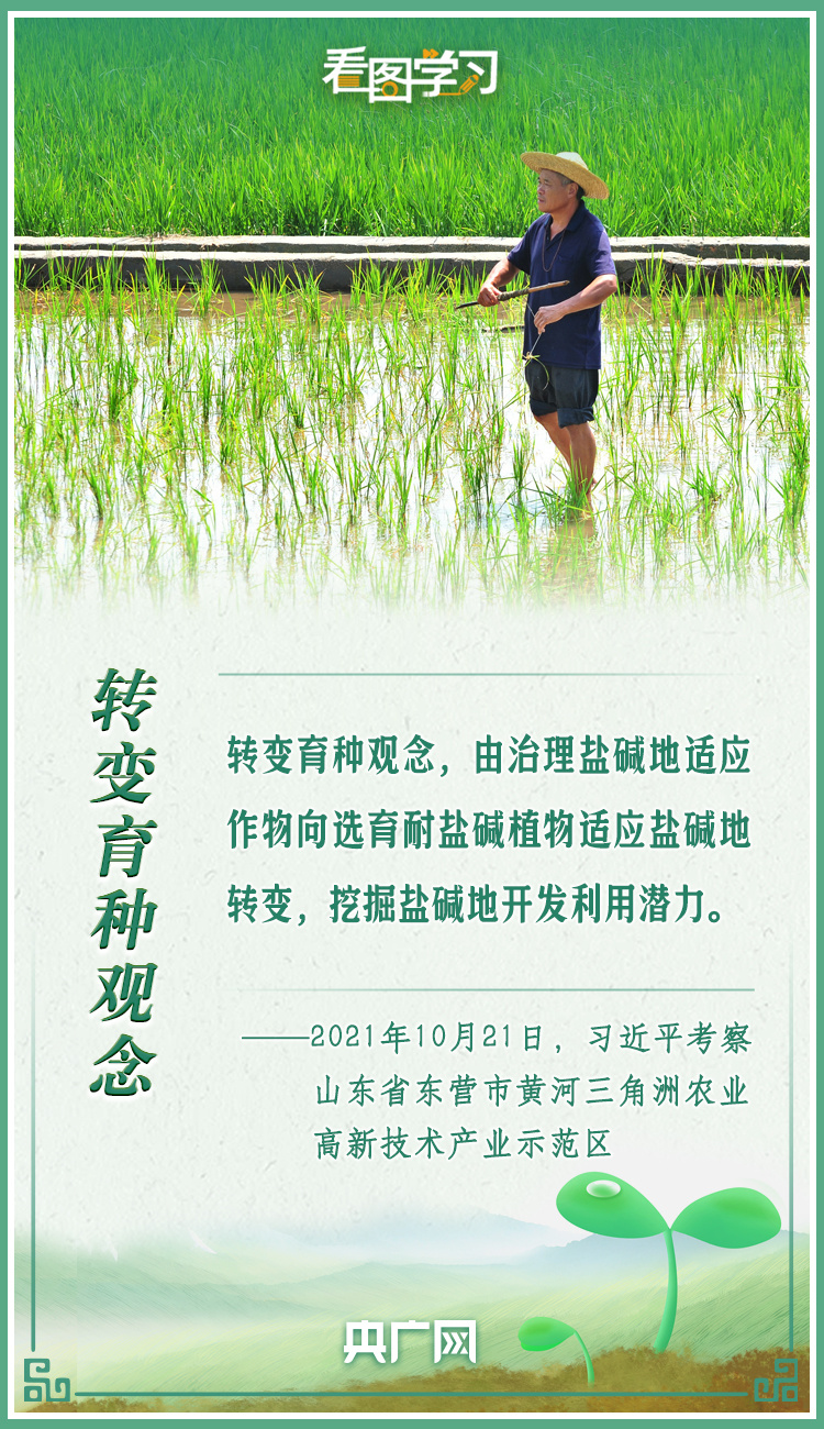 看圖學習|牢記總書記叮囑 攥緊種子端牢飯碗