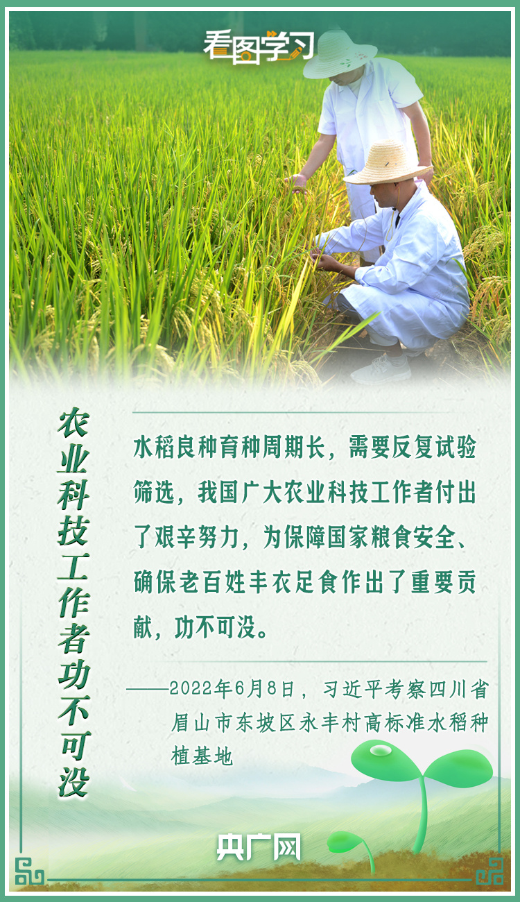 看圖學習|牢記總書記叮囑 攥緊種子端牢飯碗