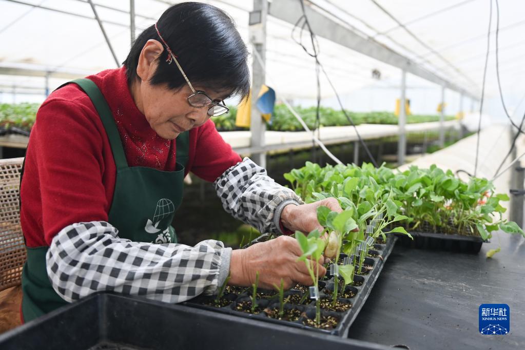 浙江:春耕備耕正當時