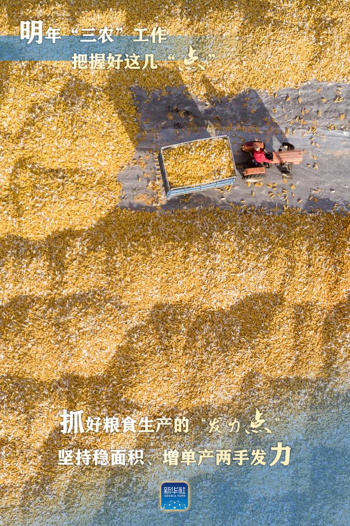 明年“三農(nóng)”工作，這幾個“點”要把握好