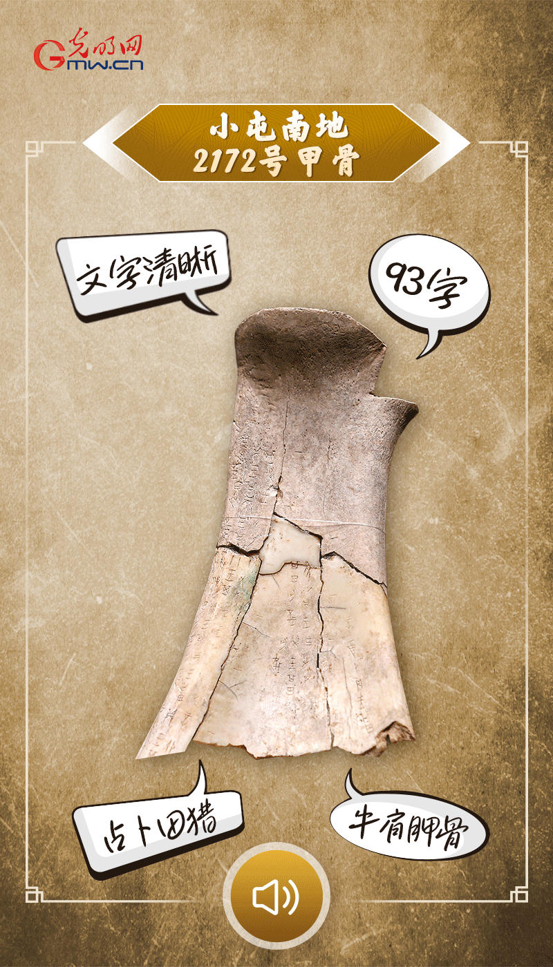 文物會說話 | 殷墟博物館新館開館啦，帶你奔赴“千年之約”