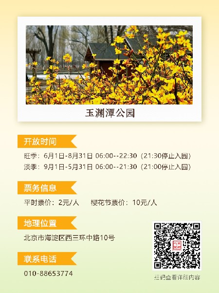 追花指南第二期！京城三月里最撩人的玉蘭觀賞地