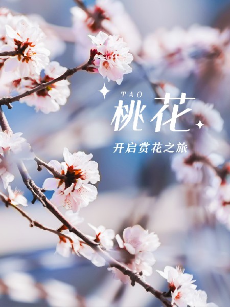 追花指南第三期！別等了 今天就去和桃花撞個(gè)滿懷