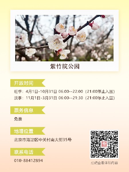 追花指南第六期！杏花雨 楊柳風 北京最美的杏花在這里