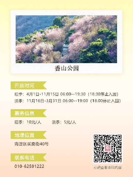 追花指南第六期！杏花雨 楊柳風 北京最美的杏花在這里