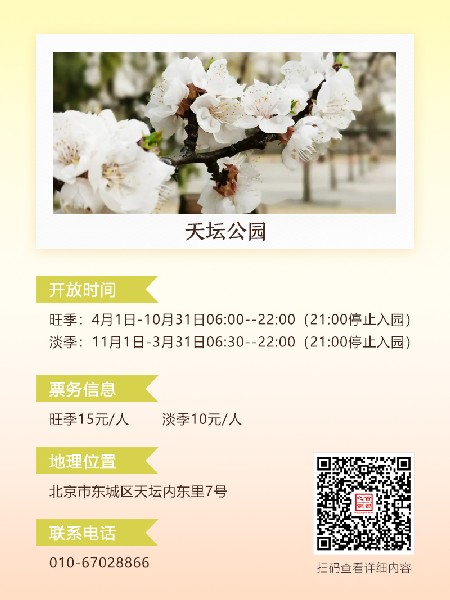 追花指南第六期！杏花雨 楊柳風 北京最美的杏花在這里