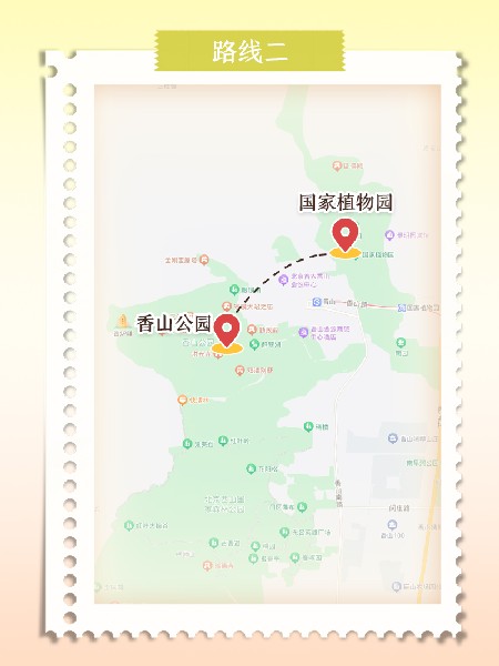 追花指南第六期！杏花雨 楊柳風 北京最美的杏花在這里