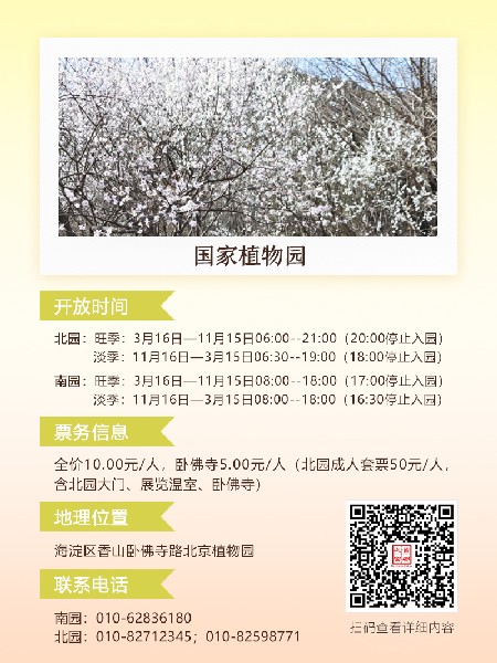 追花指南第六期！杏花雨 楊柳風 北京最美的杏花在這里