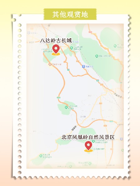 追花指南第六期！杏花雨 楊柳風 北京最美的杏花在這里