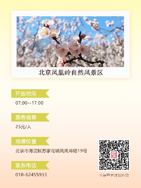 追花指南第六期！杏花雨 楊柳風 北京最美的杏花在這里