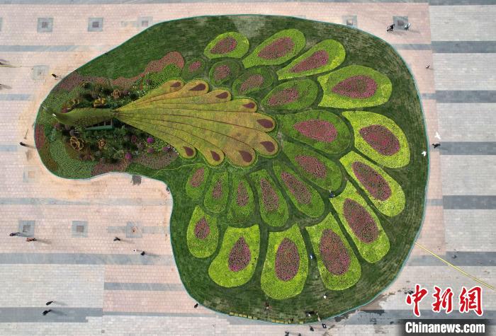 圖為航拍花壇。(無人機照片) 翟羽佳 攝