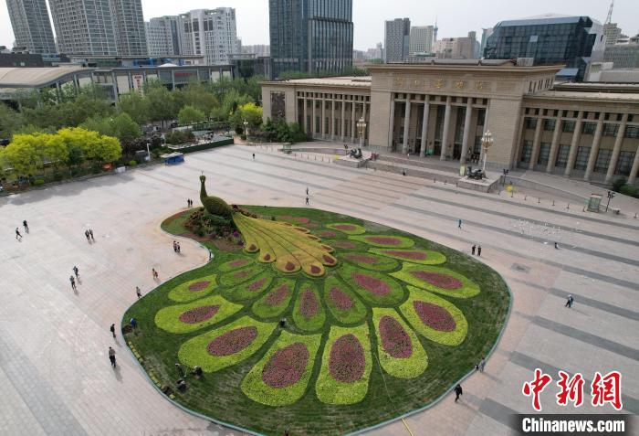 圖為航拍花壇。(無人機照片) 翟羽佳 攝