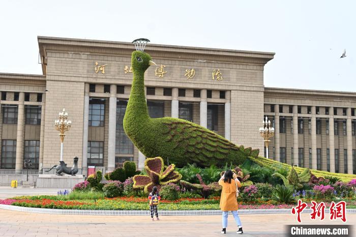 圖為游客在花壇前拍照打卡?！〉杂鸺?攝