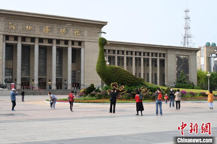 圖為游客在花壇前拍照打卡?！〉杂鸺?攝