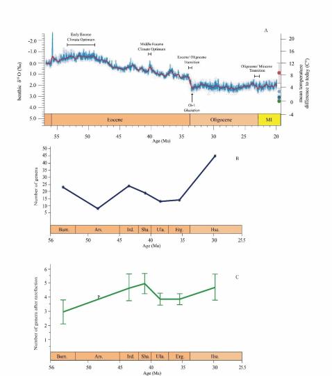 早始新世至早漸新世東亞嚙齒類屬級多樣性變化?！≈锌圃汗偶棺邓?供圖