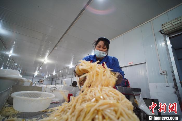 圖為一名工人正在處理切成條狀后的酸筍?！№f國政 攝