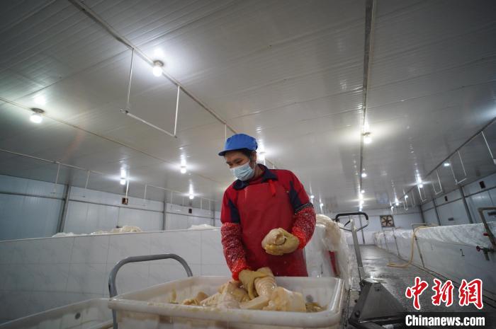 圖為一名工人正在查看酸筍腌制效果?！№f國政 攝