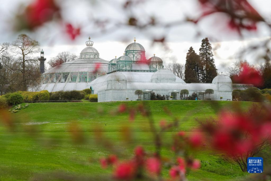 這是4月14日在比利時(shí)布魯塞爾拍攝的拉肯宮王家溫室花園。新華社記者 鄭煥松 攝