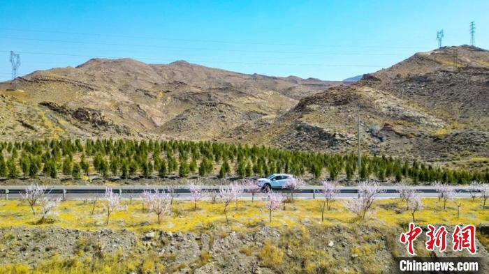 生態(tài)修復(fù)后逐漸變綠的賀蘭山石嘴山段?！∈焐绞形麄鞑抗﹫D