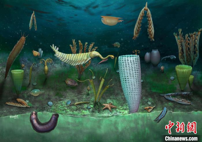 Castle Bank動物群藝術(shù)復(fù)原圖(Yang Dinghua繪制)?！∈┢樟指瘛ぷ匀?供圖