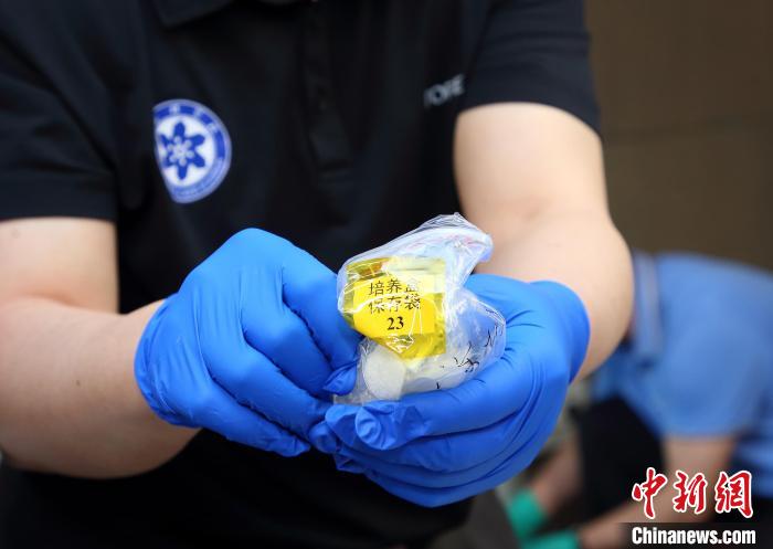 隨神舟十五號返回地面的空間科學(xué)實(shí)驗(yàn)樣品?！≈锌圃嚎臻g應(yīng)用中心 供圖