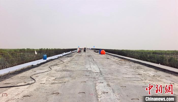 工作人員正在橋面上緊張有序地施工?！∈酚窠?攝