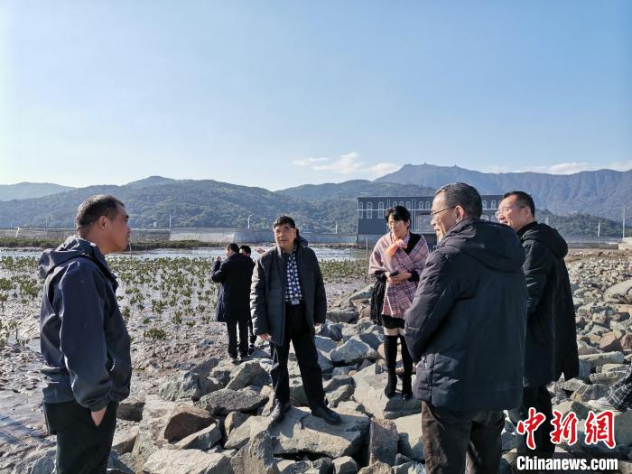 浙江海洋生態(tài)觀察：智慧大腦如何解鎖藍(lán)色發(fā)展密碼？