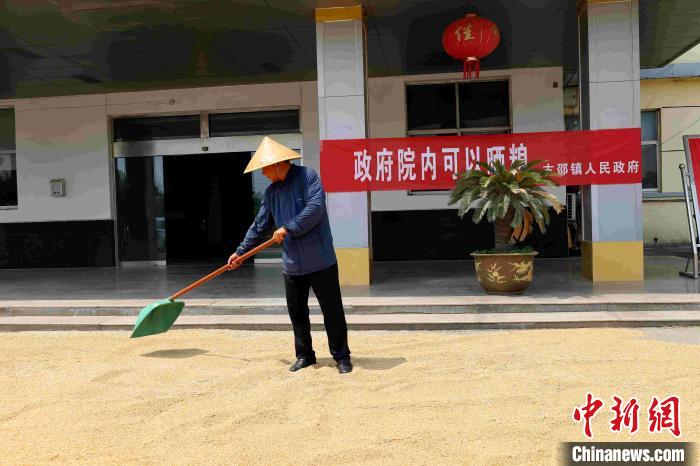 村民在棗莊市嶧城區(qū)古邵鎮(zhèn)政府大院內(nèi)晾曬糧食?！『?　攝