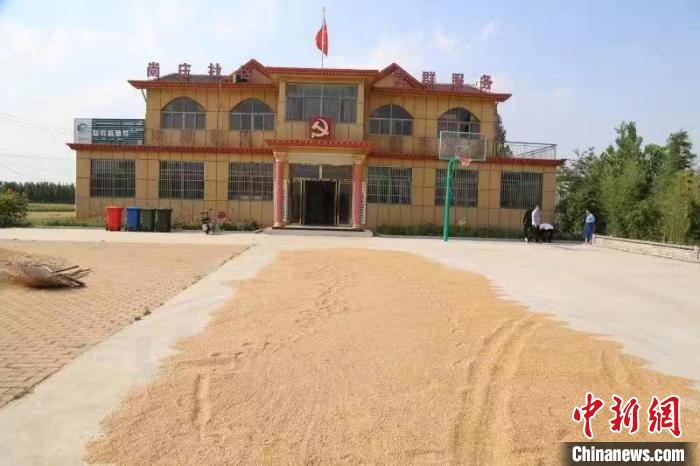 農(nóng)民在邳莊鎮(zhèn)尚莊村黨群服務(wù)中心大院里曬糧?！≠Z萌 攝