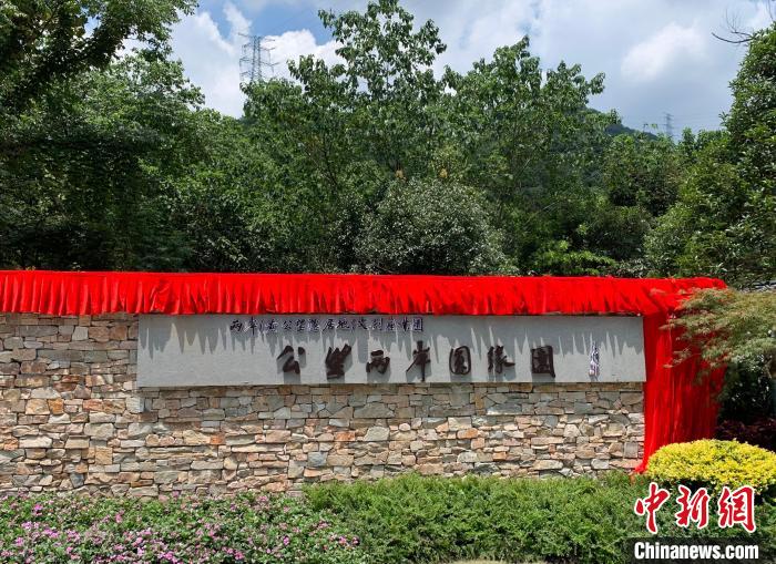 “公望兩岸圓緣園”開園?！」溻?攝