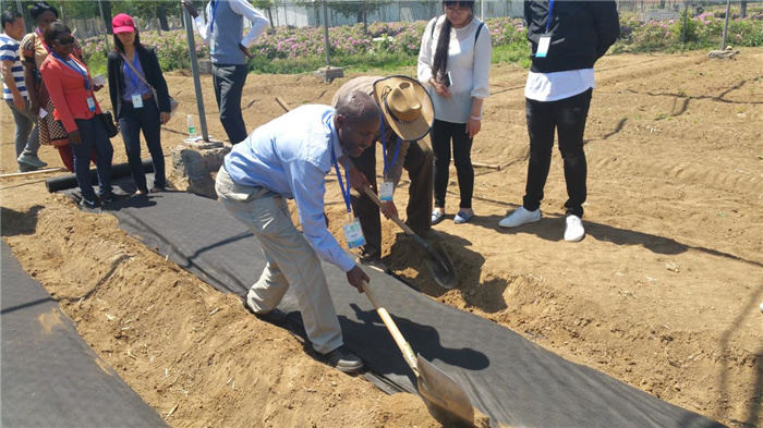 孫釗現(xiàn)場(chǎng)指導(dǎo)農(nóng)民耕種。受訪者供圖