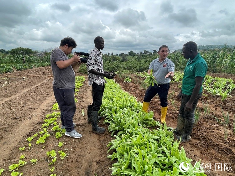 人民網(wǎng)記者走進尼日利亞農(nóng)業(yè)技術(shù)示范中心。人民網(wǎng)記者 趙艷紅攝