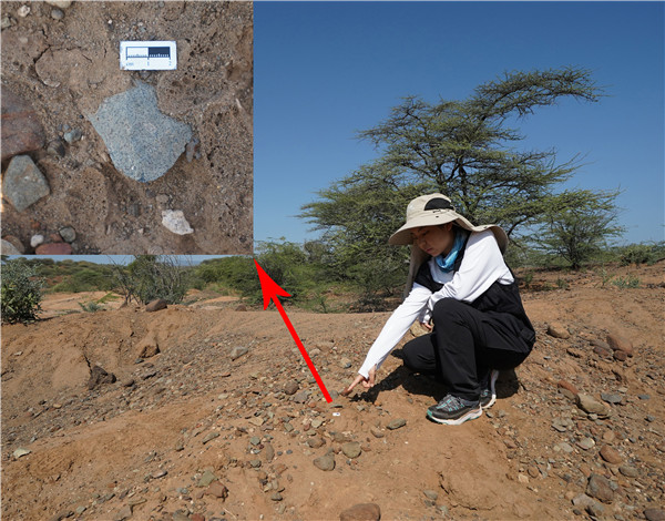 地層中的勒瓦婁哇石片。中肯聯(lián)合考古隊(duì)供圖