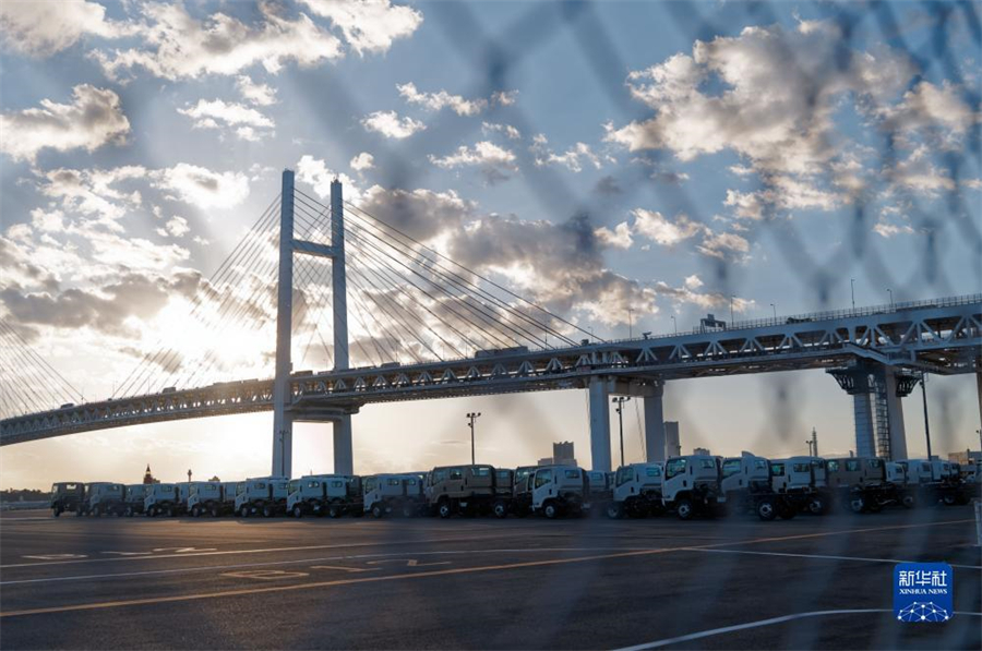 這是11月14日在日本橫濱拍攝的進(jìn)出口汽車集散場地。新華社記者 張笑宇 攝