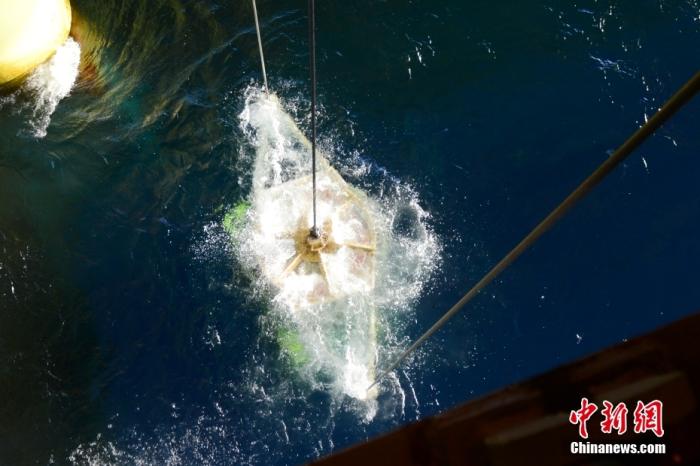 機(jī)器人入水瞬間。<a target='_blank' href='/' _fcksavedurl='/' ><p  align=