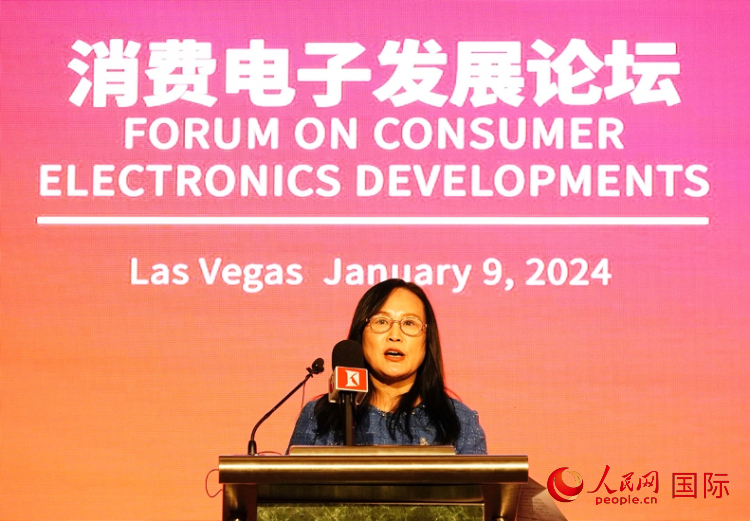 中國(guó)機(jī)電產(chǎn)品進(jìn)出口商會(huì)副會(huì)長(zhǎng)劉春致辭。人民網(wǎng)記者 鄧圩攝