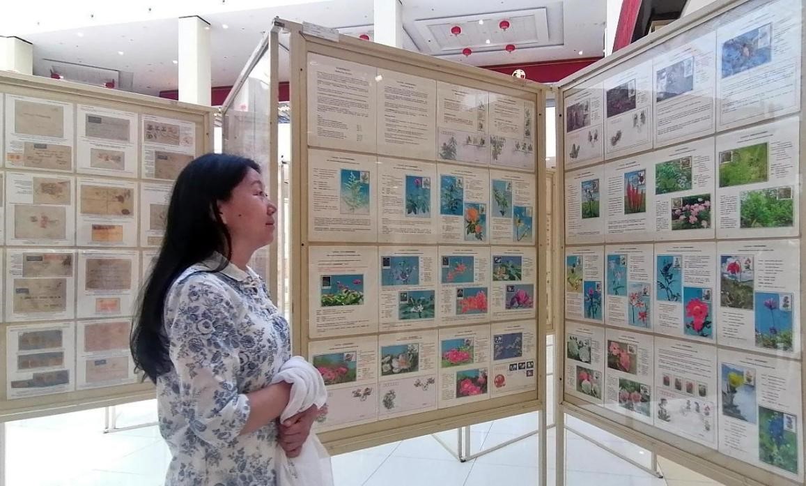 藥用植物極限片展覽場(chǎng)景。第七屆阿聯(lián)酋集郵展主辦方供圖