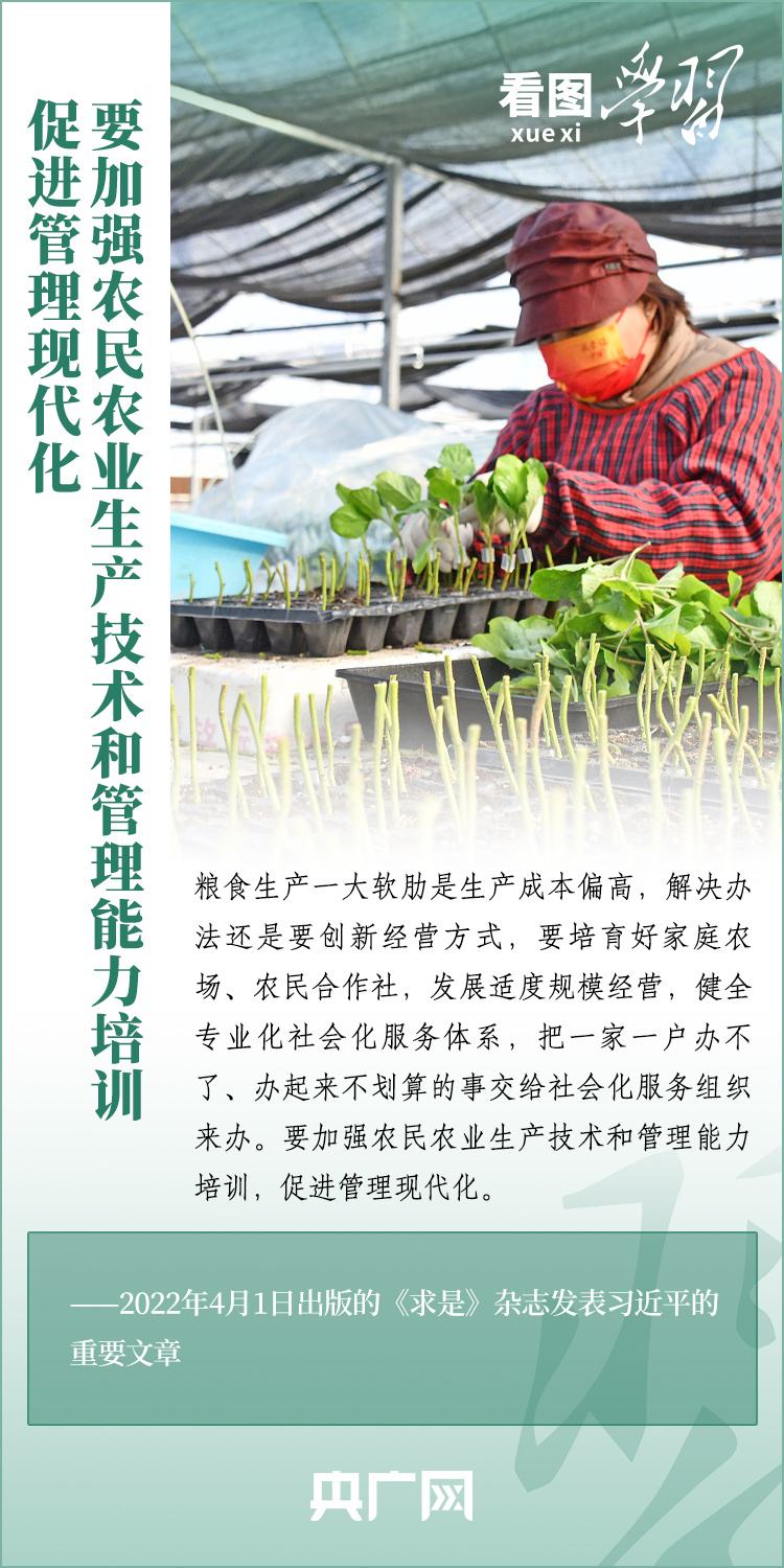 看圖學(xué)習(xí)丨推廣良田、良種、良法、良機(jī) 給農(nóng)業(yè)現(xiàn)代化插上科技的翅膀