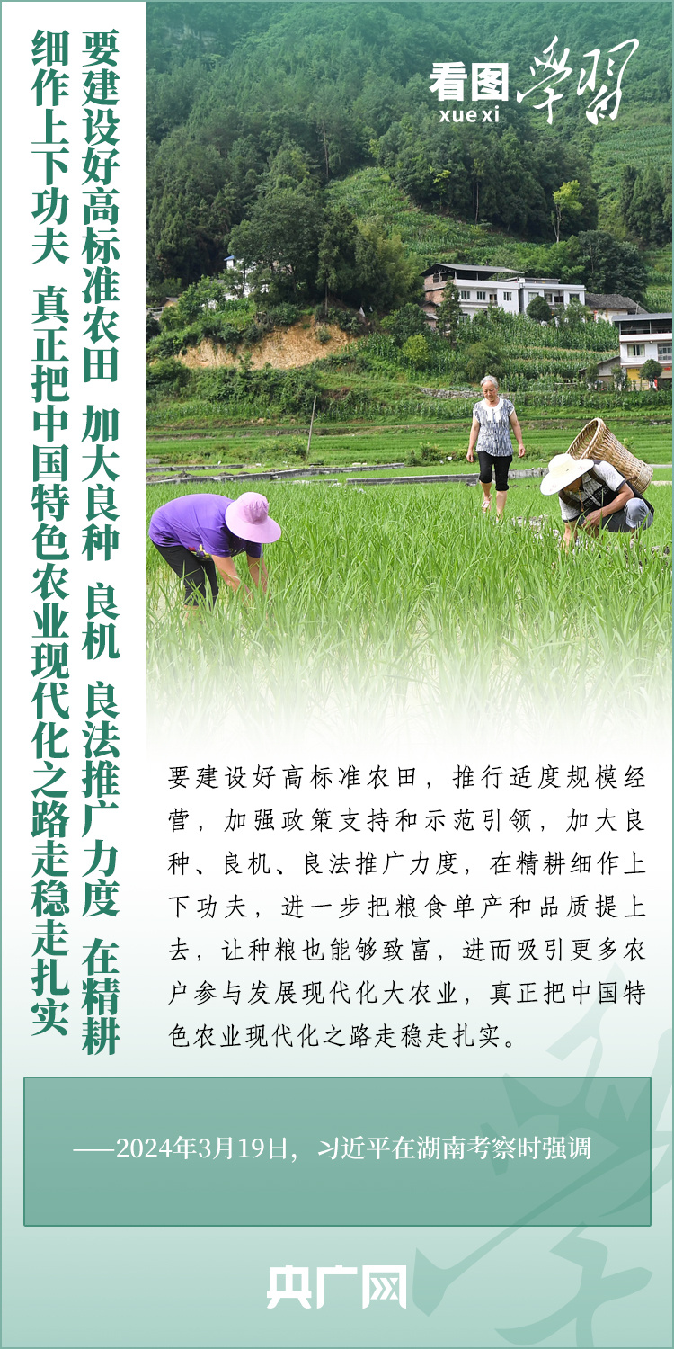 看圖學(xué)習(xí)丨推廣良田、良種、良法、良機(jī) 給農(nóng)業(yè)現(xiàn)代化插上科技的翅膀