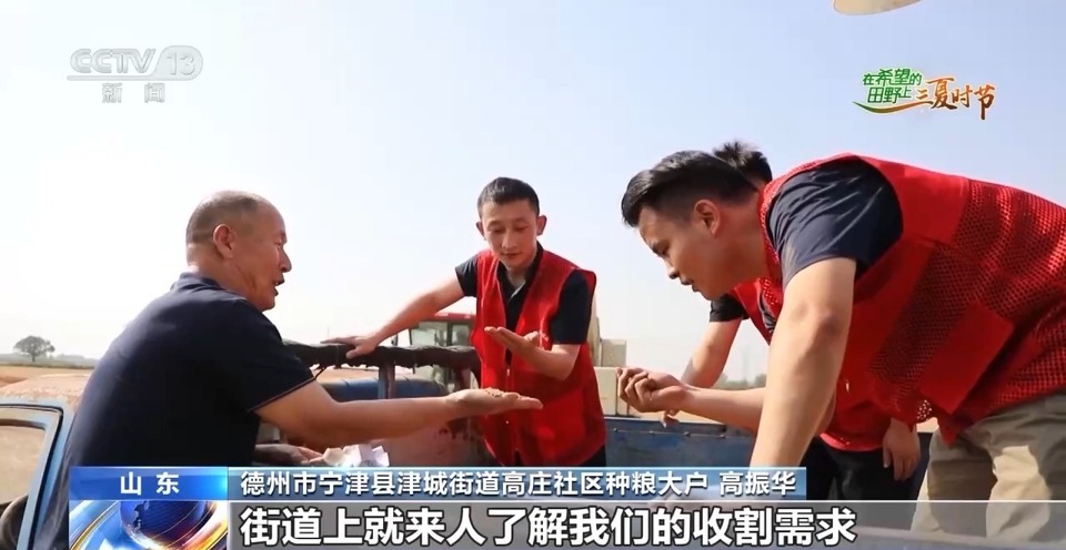 “三夏”生產(chǎn)思維導(dǎo)圖安排上了！還有政府大院等你來“曬”