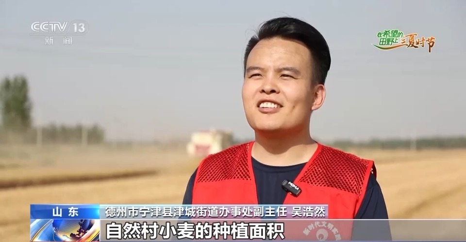 “三夏”生產(chǎn)思維導(dǎo)圖安排上了！還有政府大院等你來“曬”