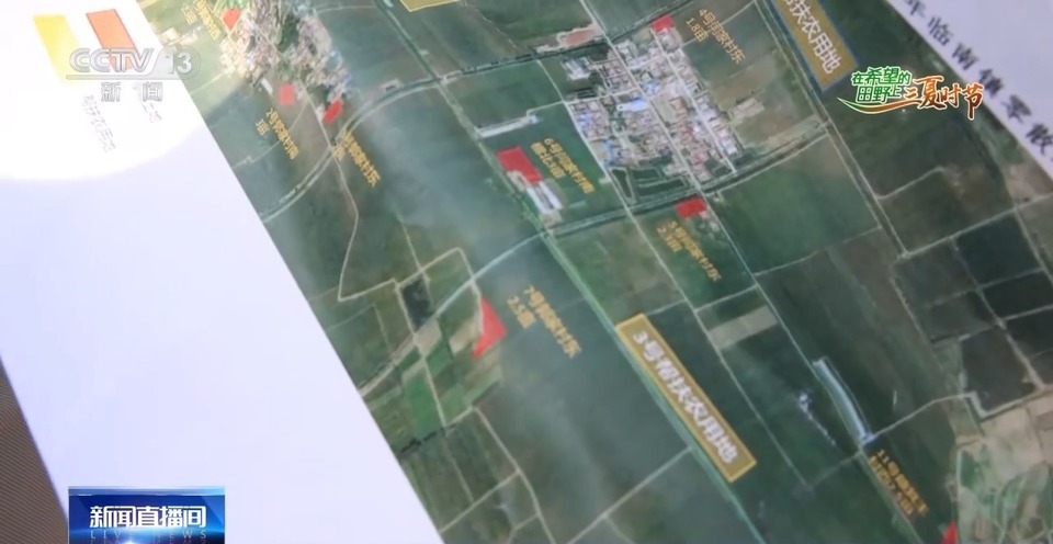 “三夏”生產(chǎn)思維導(dǎo)圖安排上了！還有政府大院等你來“曬”