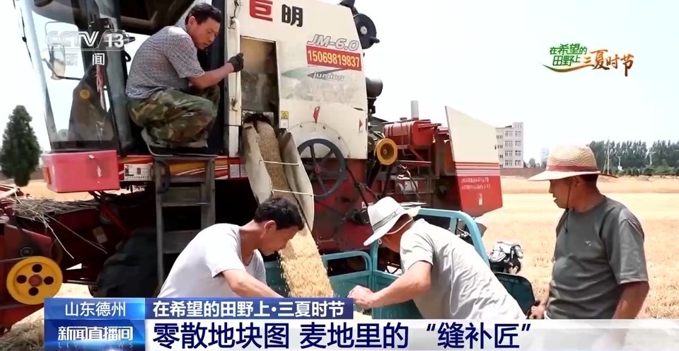 “三夏”生產(chǎn)思維導(dǎo)圖安排上了！還有政府大院等你來“曬”